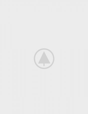 wood-gallery-placeholder-4 wood-gallery-placeholder-4